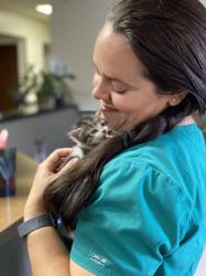 Sylvan Corners Pet Hospital: Cohen Gabrielle DVM
