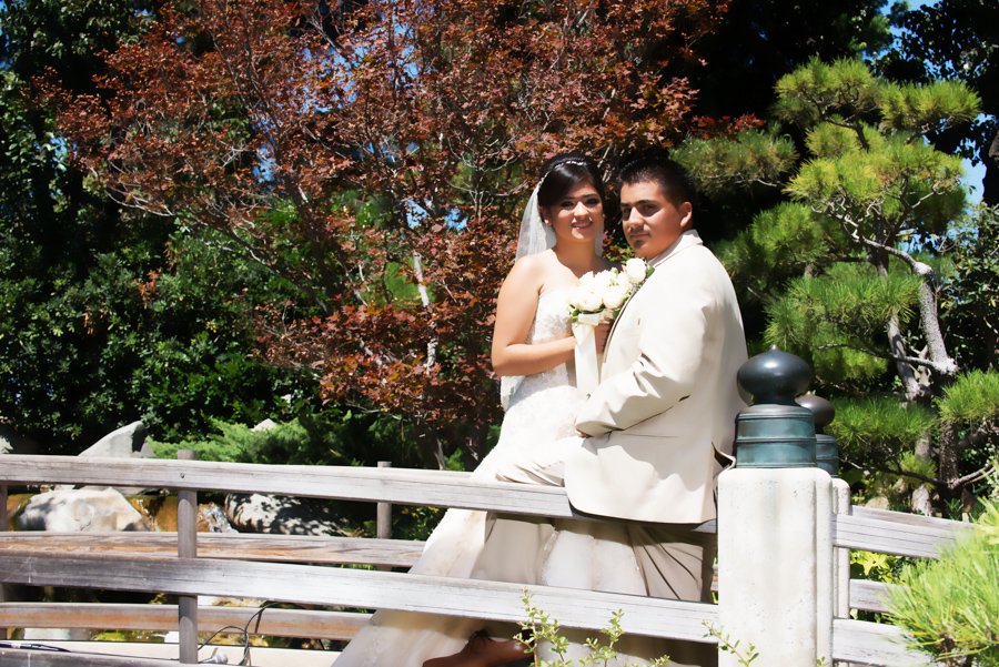 Photo credit: 