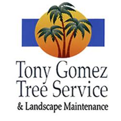 Tony Gomez Tree Service
