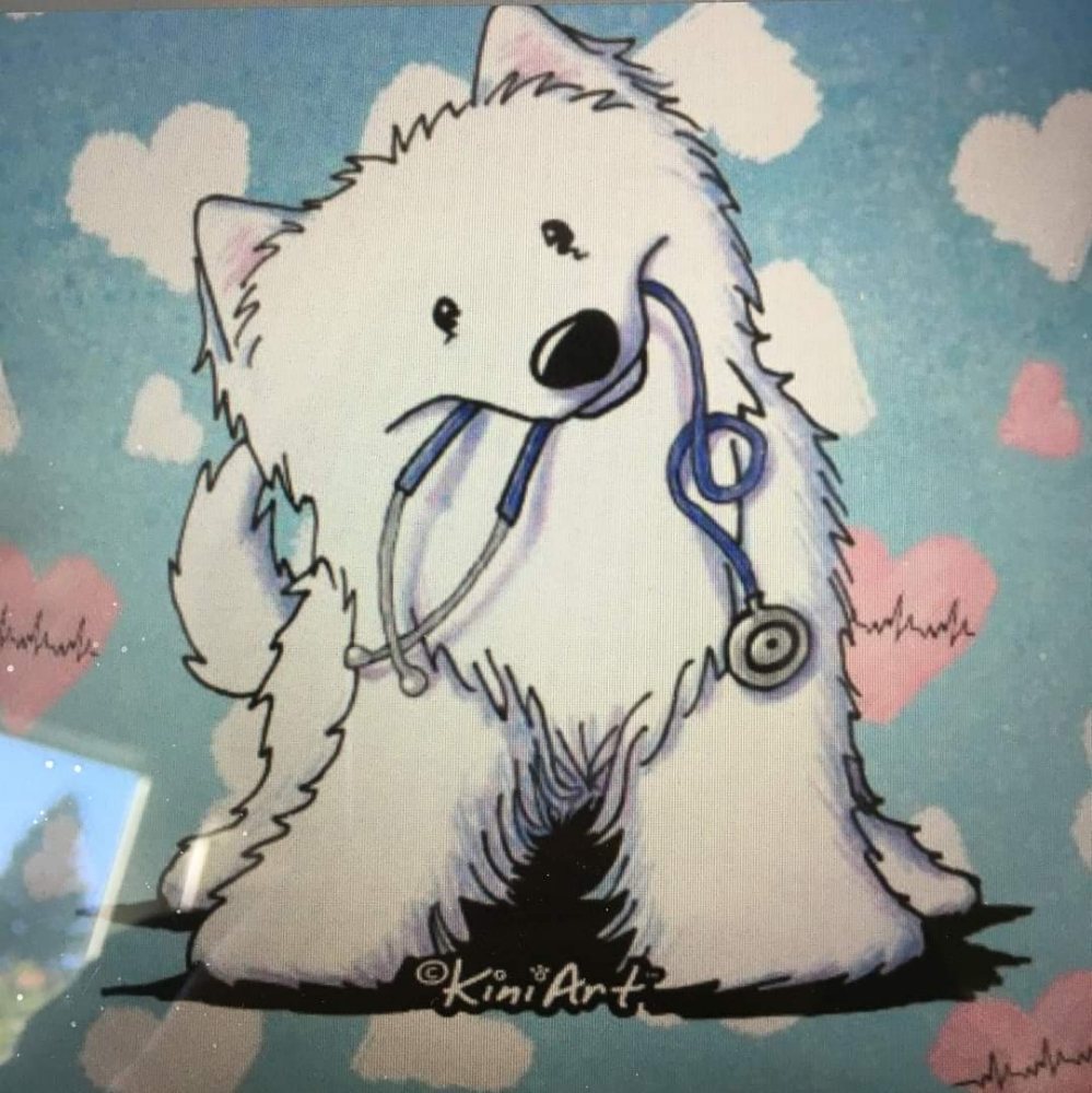 eMASH (mobile animal services hospital) Gilroy