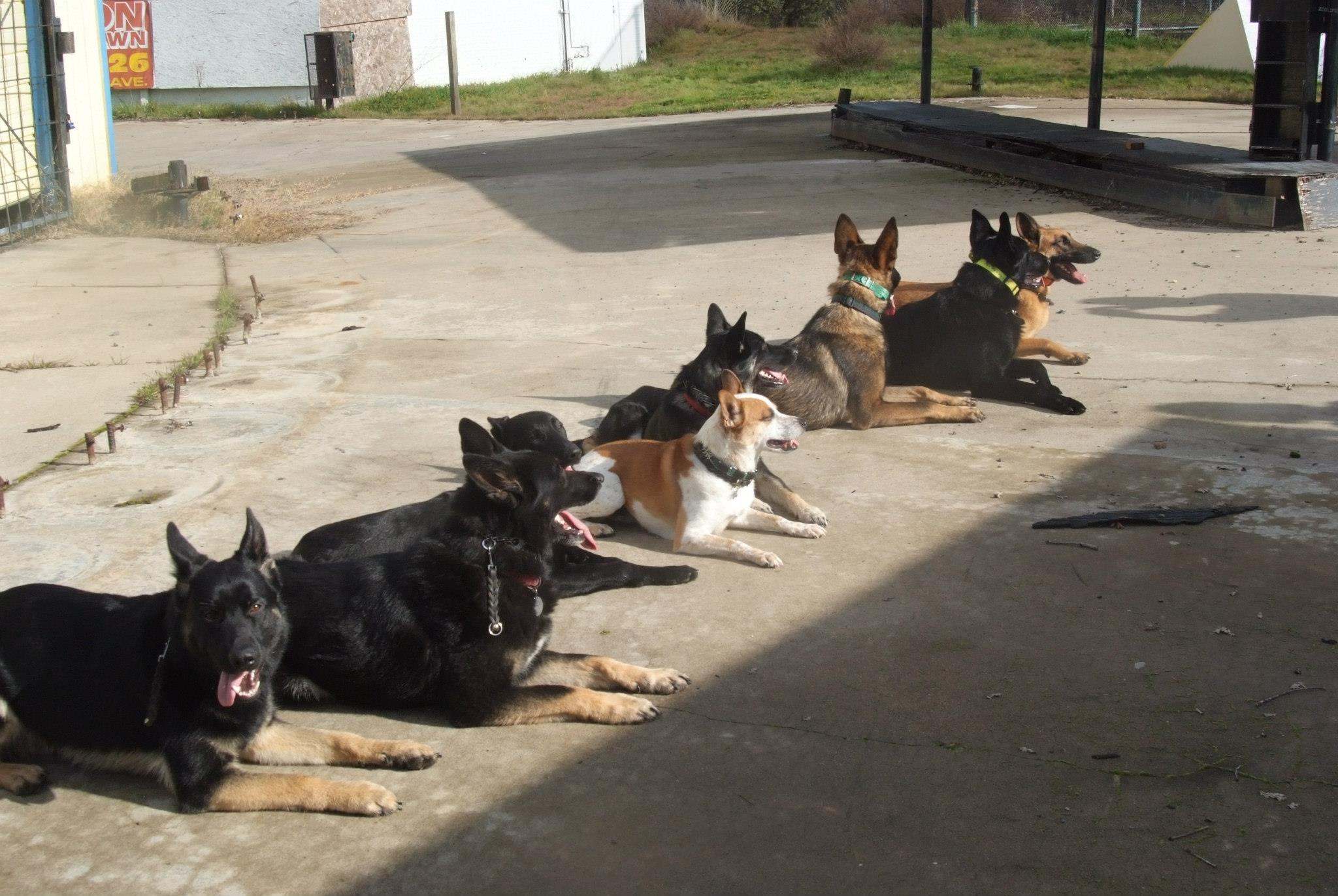 Photo credit: yellowpages