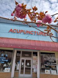 California Acupuncture Center