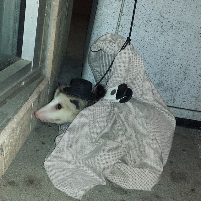 Photo credit: yellowpages