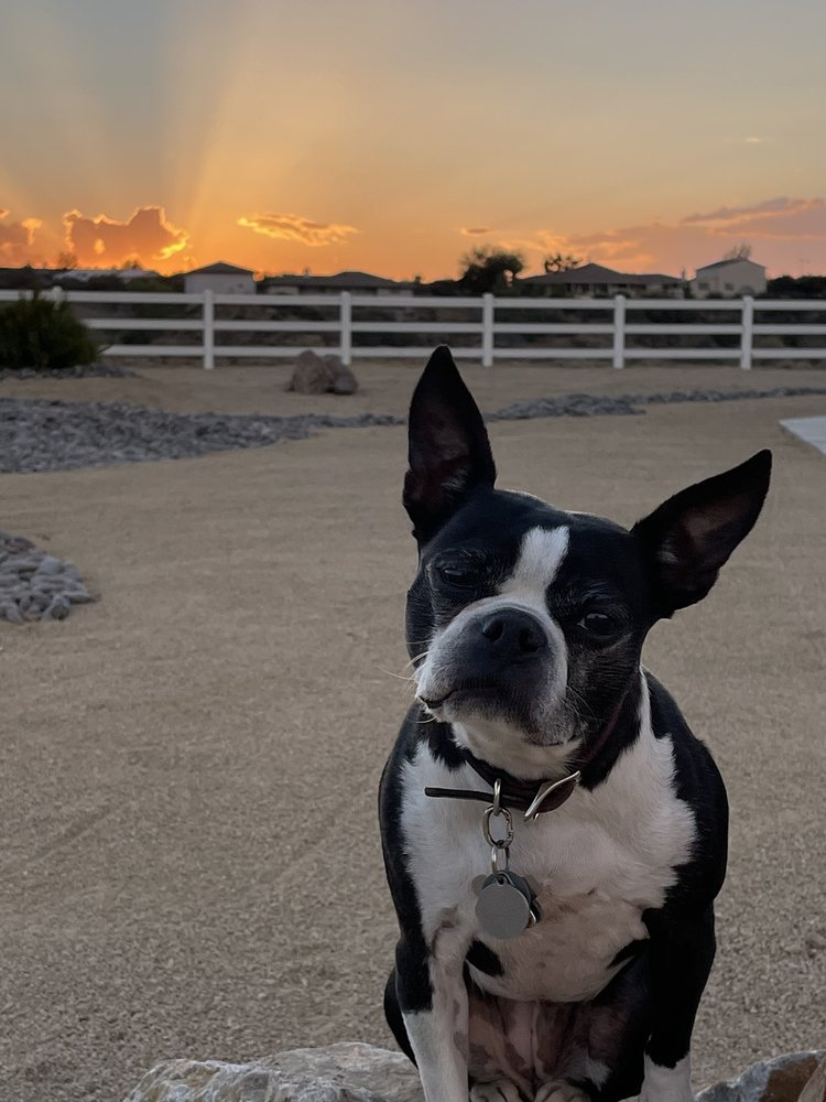 Photo credit: 
