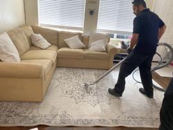 Marvic Carpet Steam Cleaning