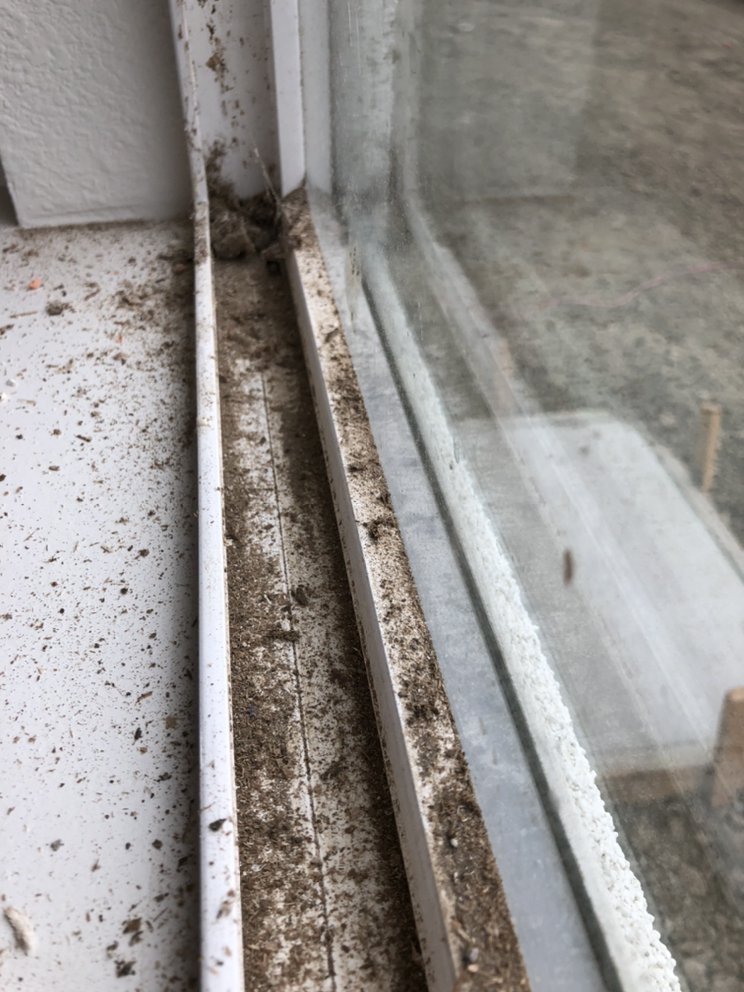 Photo credit: 