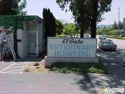 Animal Dermatology Clinic