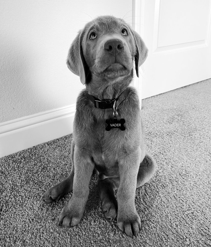 Photo credit: 