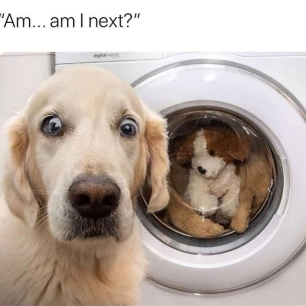 Photo credit: 