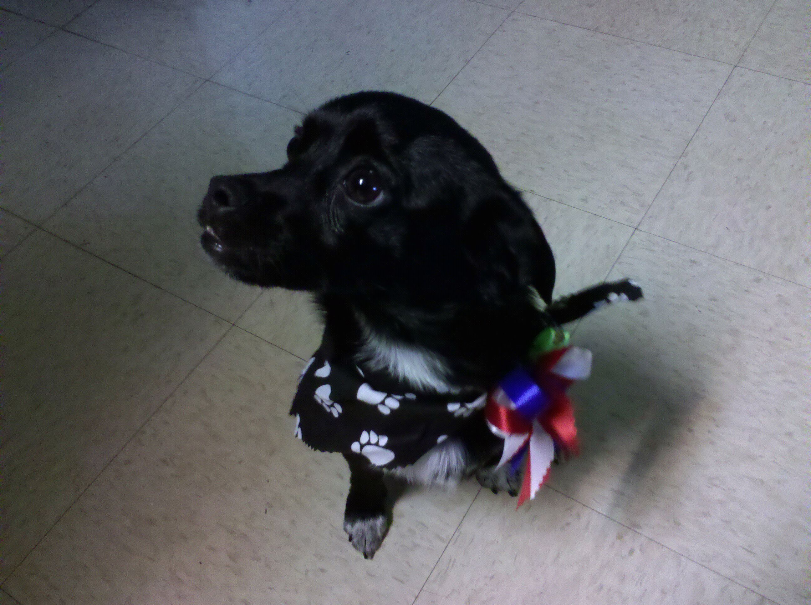 Photo credit: yellowpages