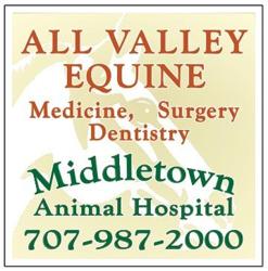 Middletown Animal Hospital: Brandi Parsons RVT
