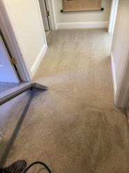 Stanford Carpet and Upholstery Cleaning