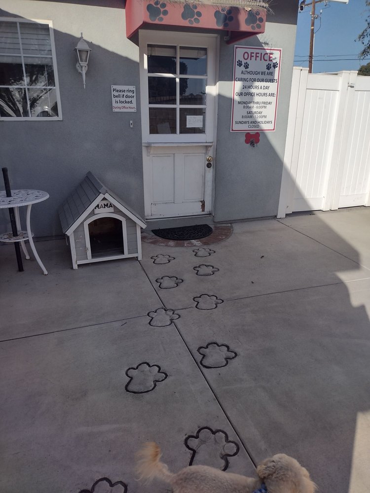 Coast Canine Country Club Newport Beach