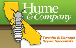 Hume Termite