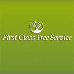 First Class Tree Service
