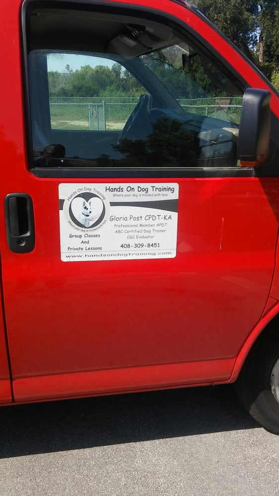 Hands On Dog Training Paradise