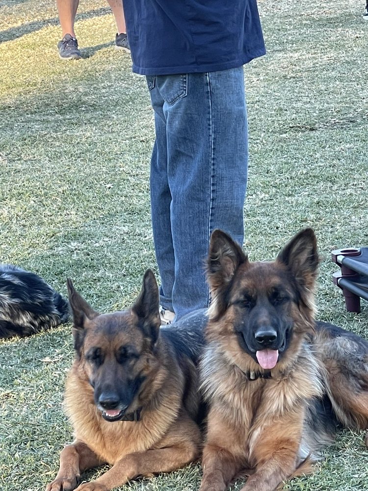 Lundborg-Land German Shepherds Perris