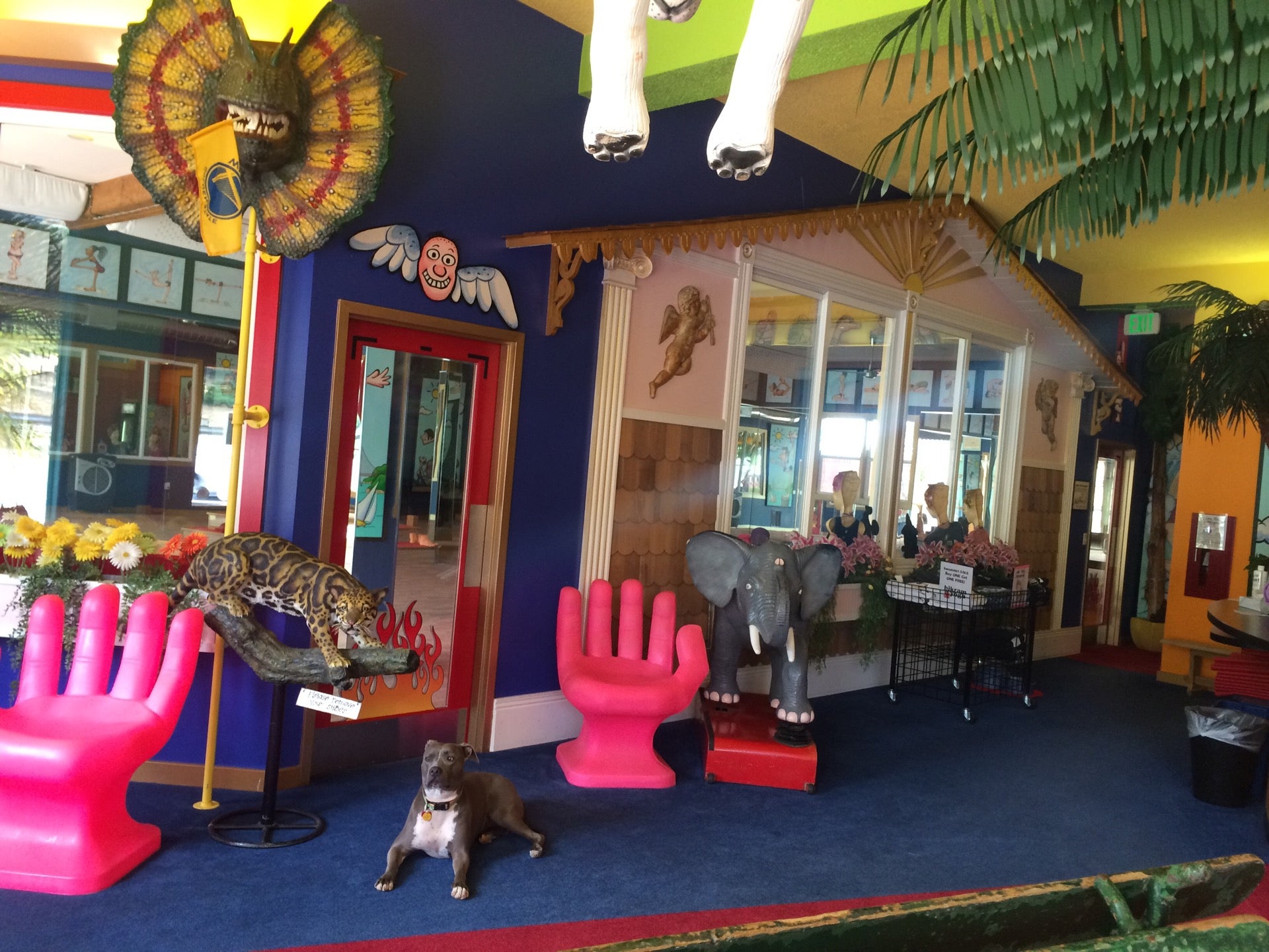 Photo credit: yellowpages