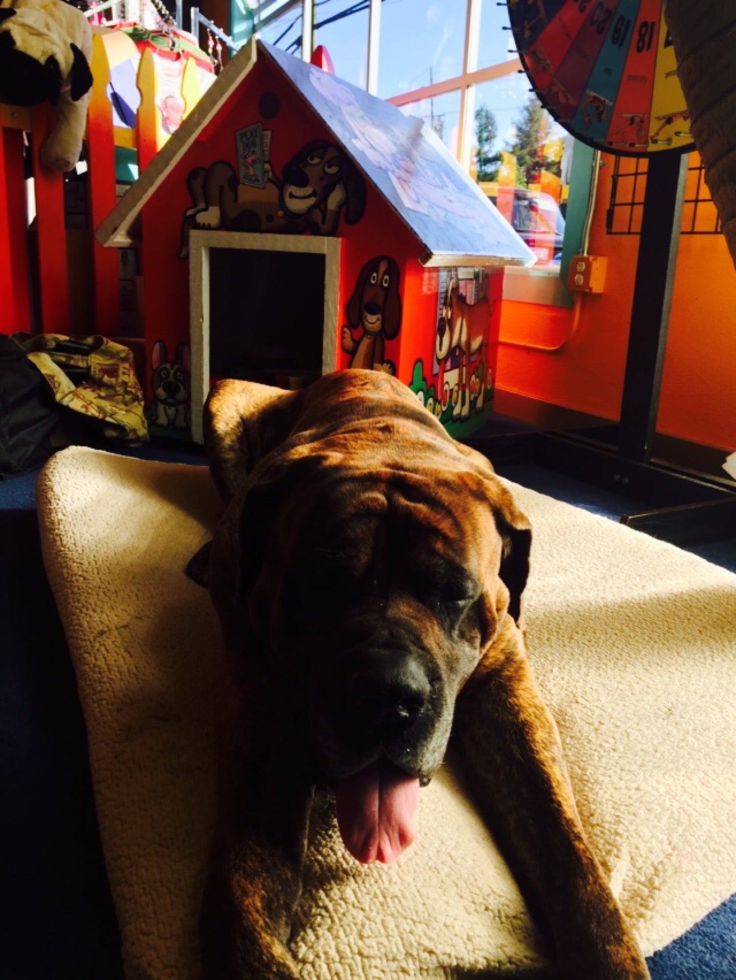 Photo credit: yellowpages