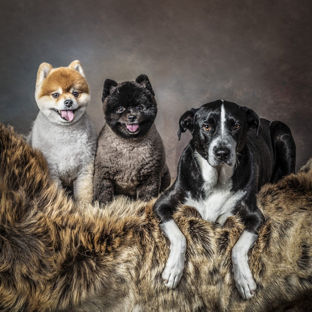 Photo credit: 