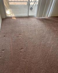 Xpress Carpet Cleaning