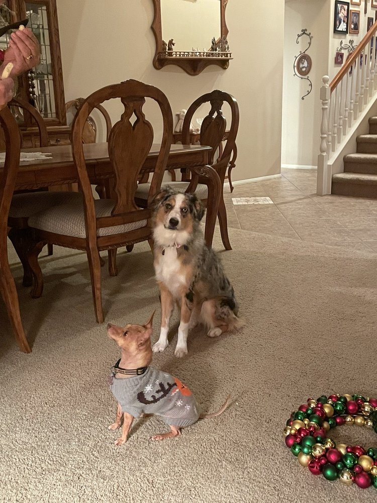 Creature Comfort Shop Riverside