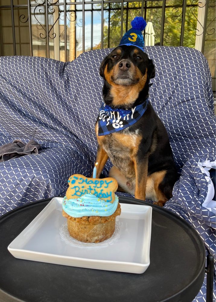 The Vegan Pup Sacramento