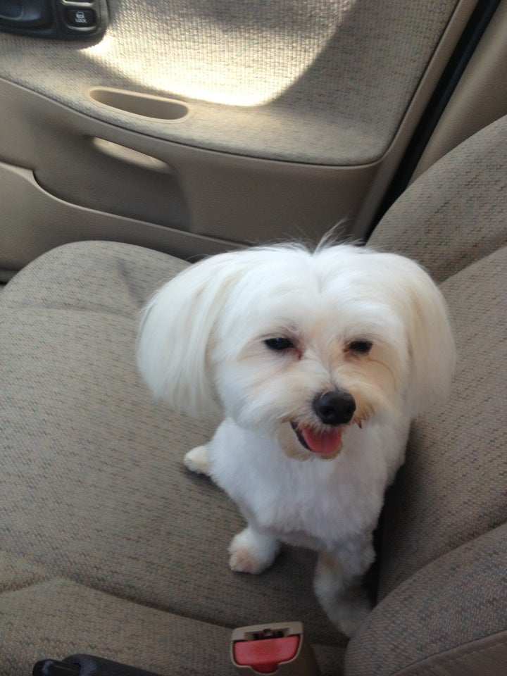 Photo credit: yellowpages