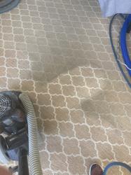 mikes carpet cleaning
