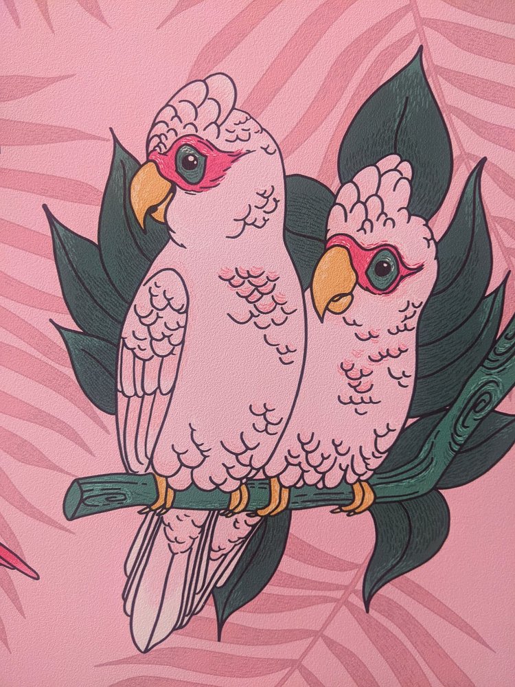 Parakeet Cafe