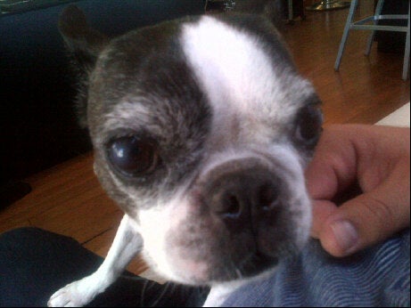 Photo credit: yellowpages