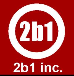 2b1 Inc.