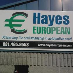 Hayes European Inc.