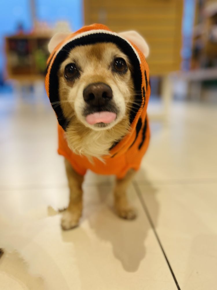 Photo credit: 