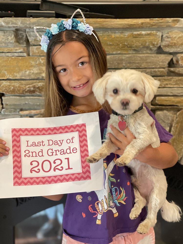 Kimberly's All Breed Grooming Shingle Springs