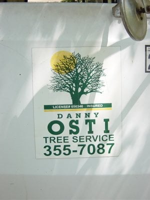 Osti Tree Services 109 S Lima St, Sierra Madre California 91024