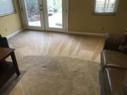 Premium Carpet, Tile and Granite Care