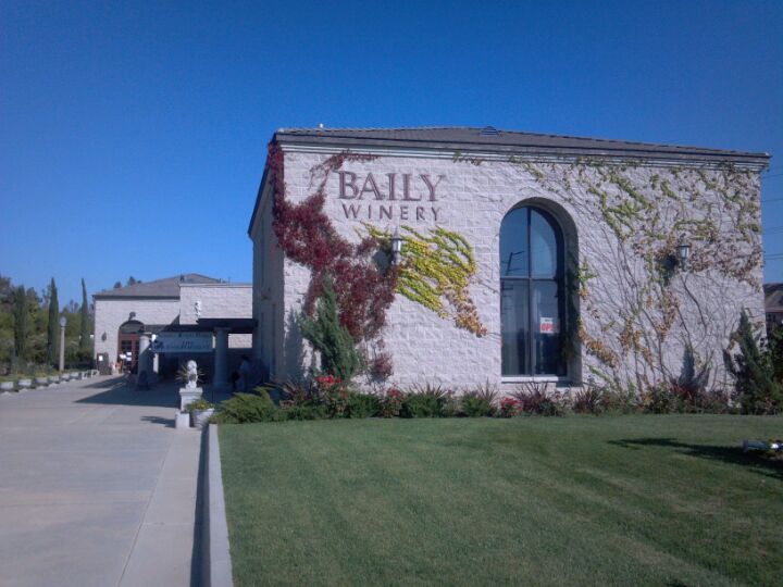 Baily Vineyard