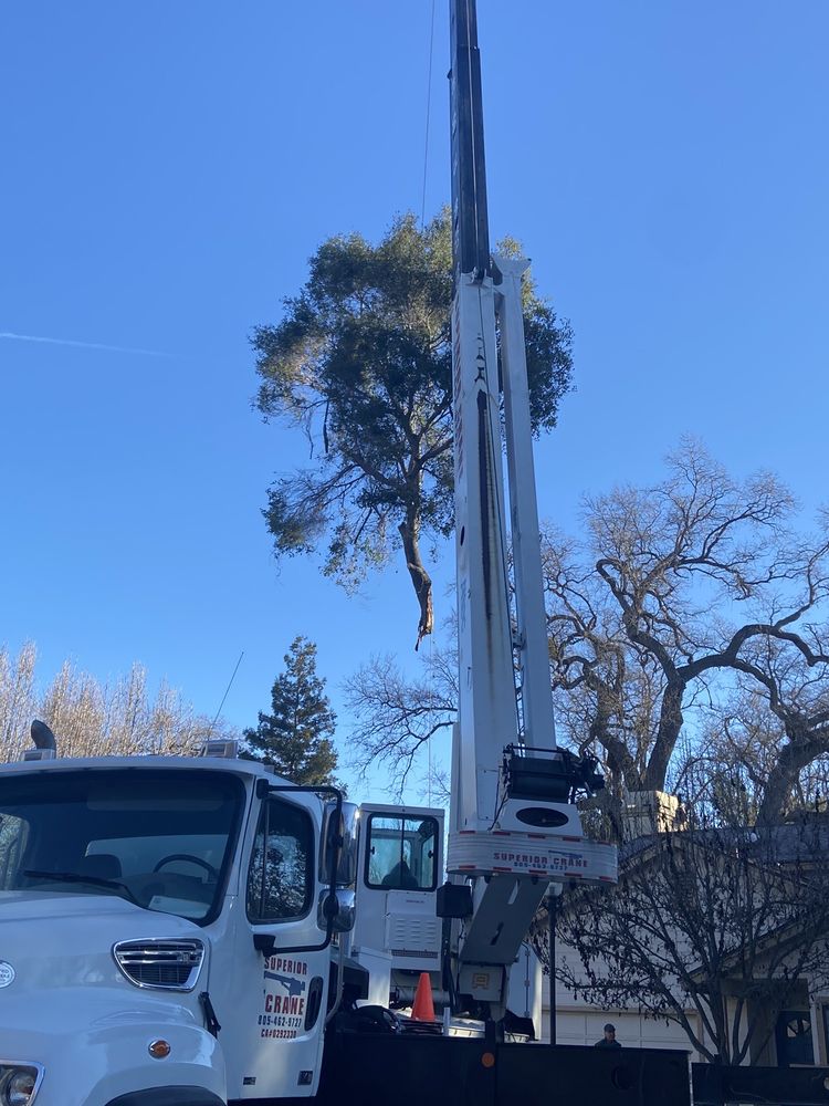 A & T Arborists is now 4G Tree 790 S Main St, Templeton California 93465