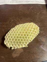 Sorensen Bee n' Wasp Removal