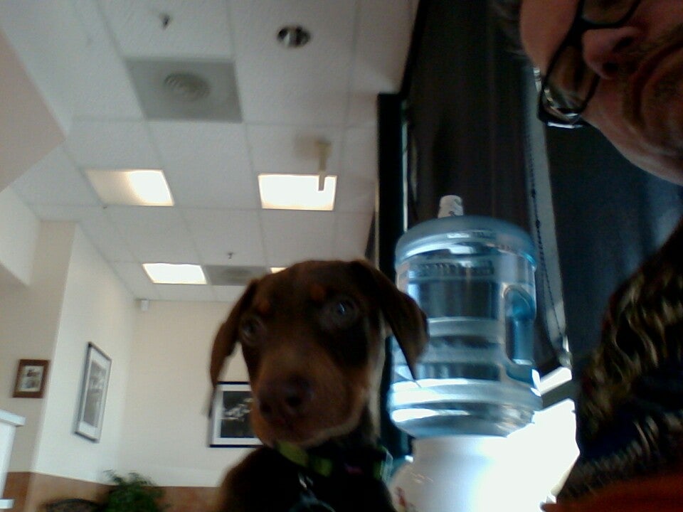 Photo credit: yellowpages