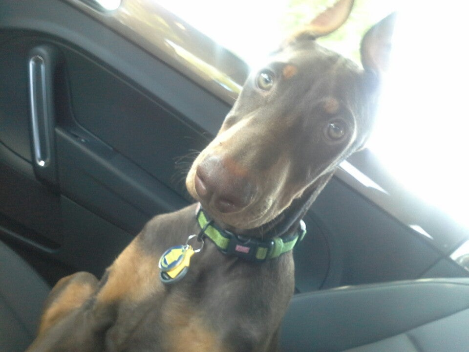 Photo credit: yellowpages