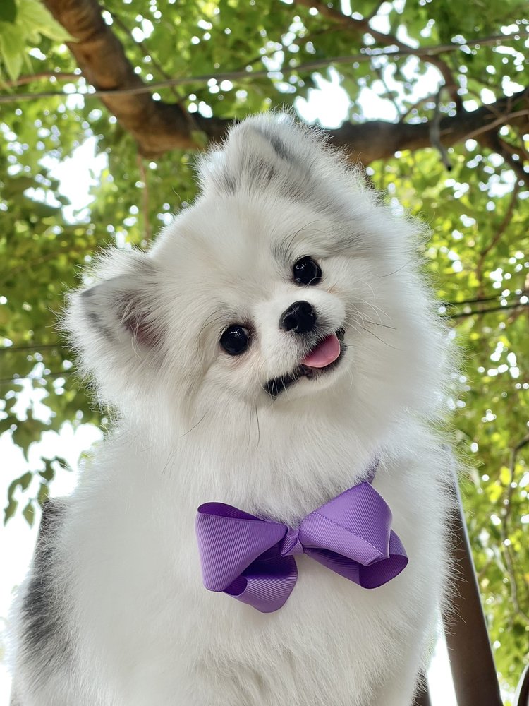 Photo credit: 