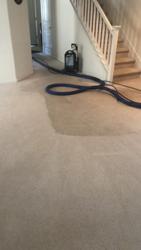 Eureka Pacific Carpet Cleaning