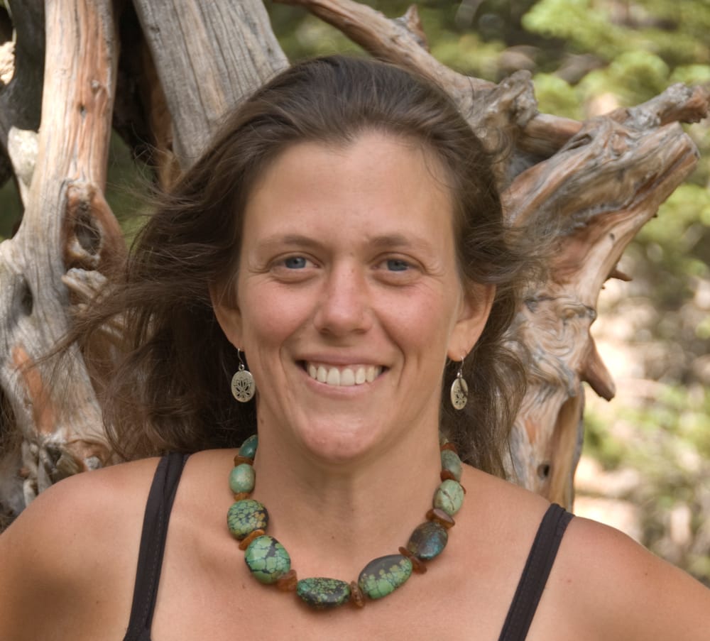 Roots & Branches Acupuncture