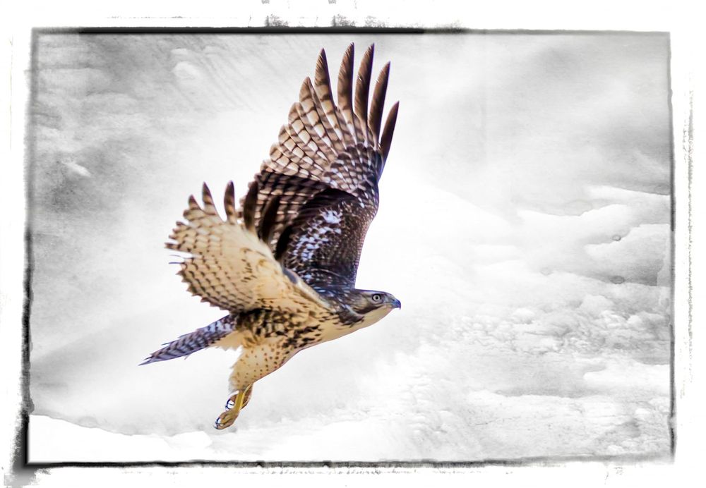 Photo credit: 
