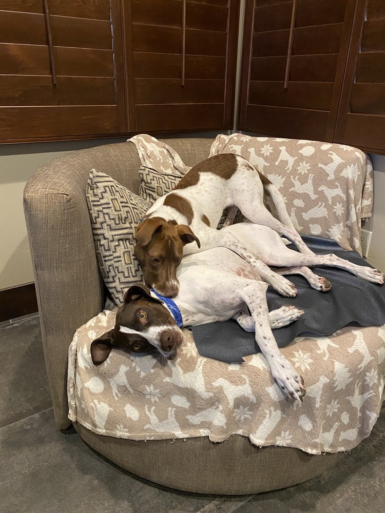 FetchMasters, LLC Denver