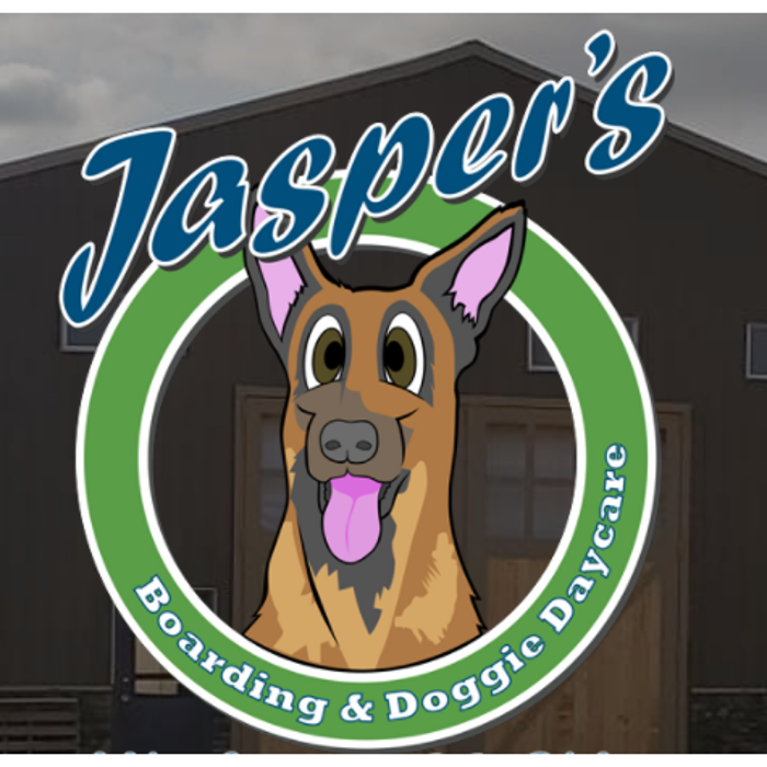 Jasper's Boarding & Doggie Daycare 8677 CO-66, Platteville Colorado 80651