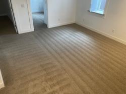 Team Carpet and Flooring Cleaning, Repair, Stretching
