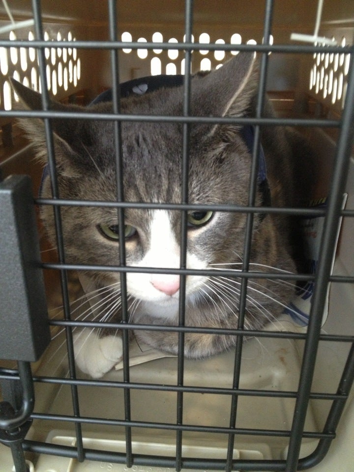 Photo credit: yellowpages